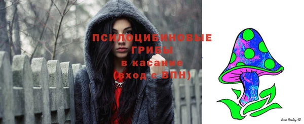 тгк Сатка