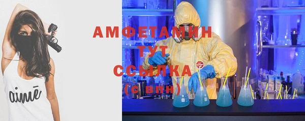 сатива Богородск