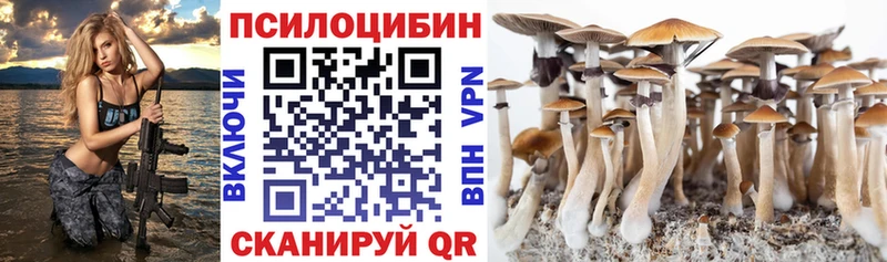 Псилоцибиновые грибы GOLDEN TEACHER  где купить наркоту  Мещовск 